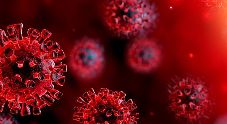 Business and Employment Continuity Measures During The Covid-19 Pandemic